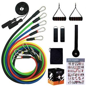 Beakabao Sports Resistance Band Set – Includes Bands, Handles, Ankle Straps, Door Anchors, Guides and Bag, Free Skipping Rope – for Physical Training, Weight Loss, Home Exercise, Yoga, Pilates
