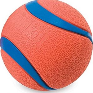 Chuckit! Ultra Ball Medium (2 PACK)