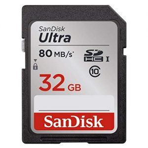 SanDisk Ultra 32GB Class 10 SDHC UHS-I Memory Card up to 80MB/s (SDSDUNC-032G-GN6IN),